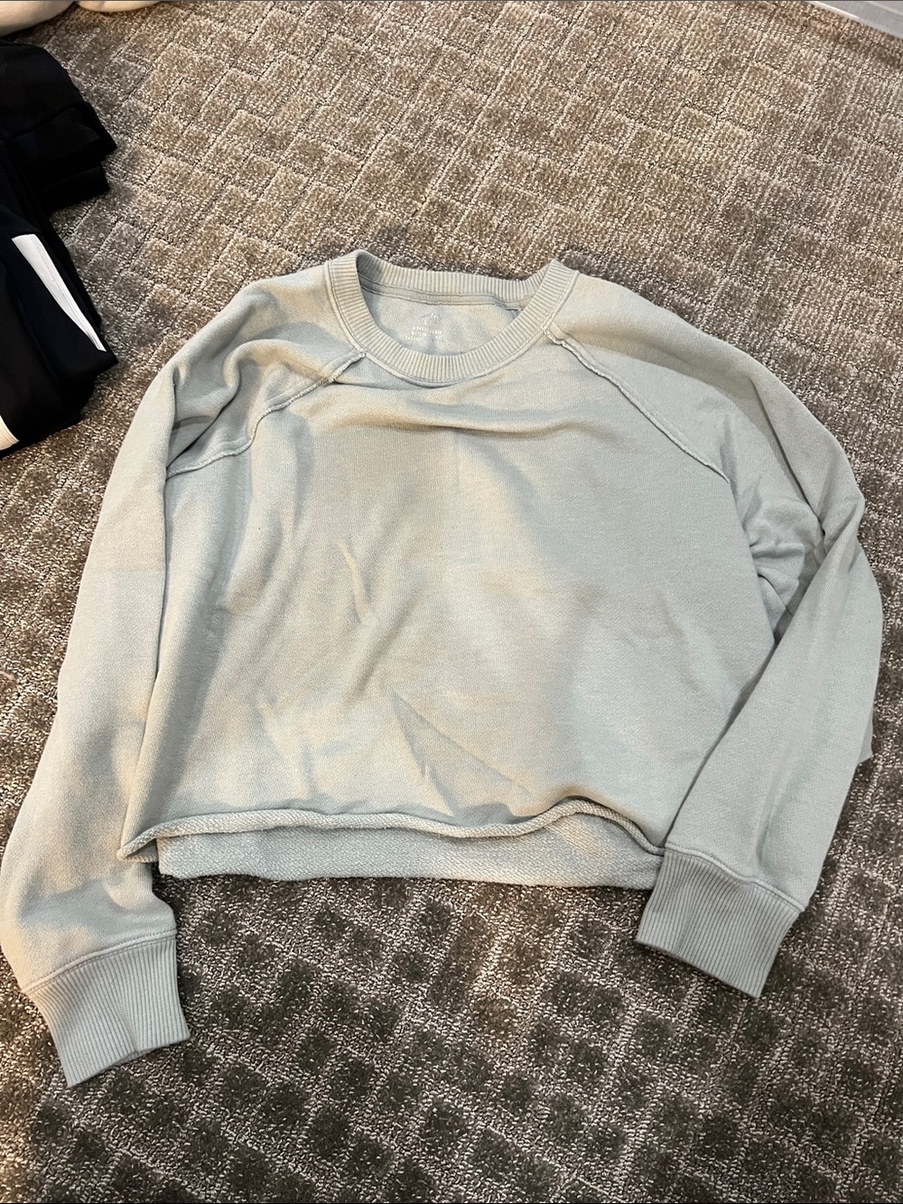 aerie Cropped Crewneck Sweatshirt in Light Sage
